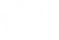 National Minority Supplier Development Council